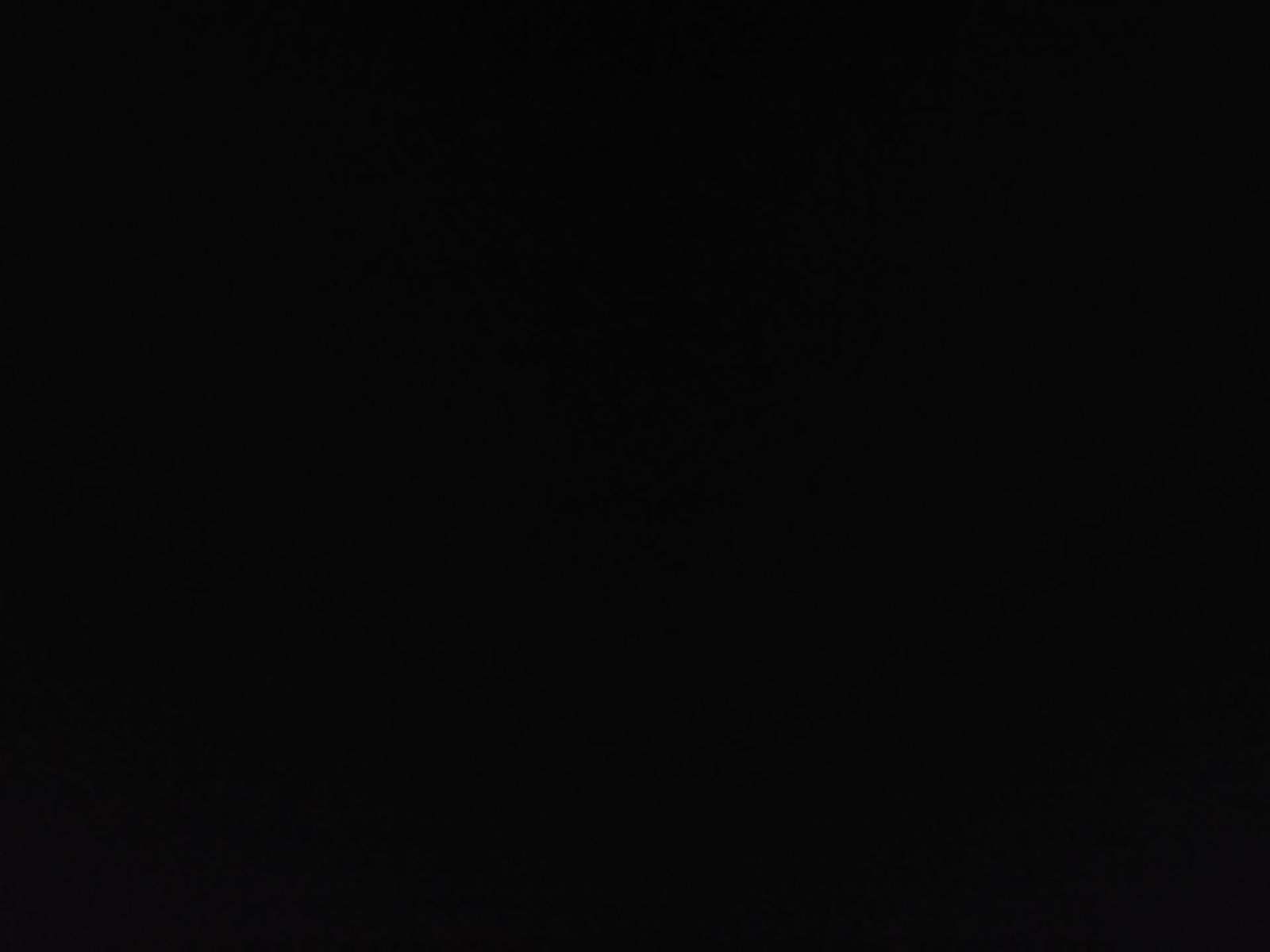 2019 Honda Accord Sport FWD