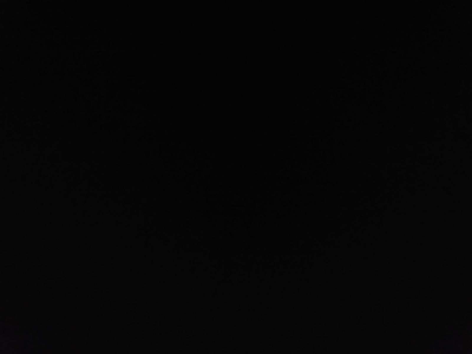 2019 Honda Accord Sport FWD