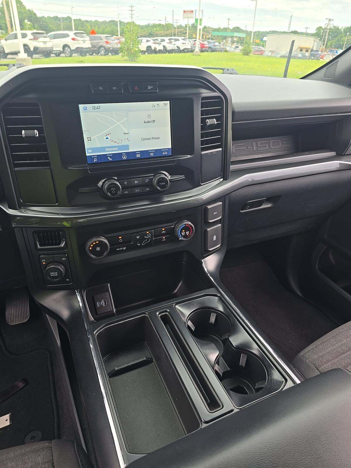 FORD F-150 - 10