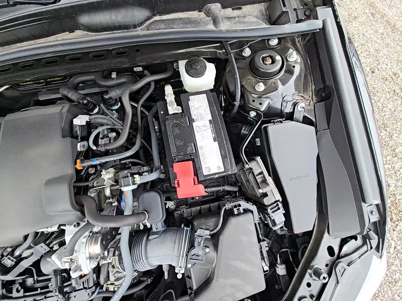 2024 Toyota Camry LE FWD