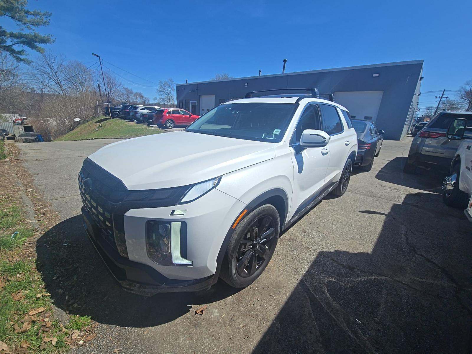 HYUNDAI PALISADE - 1