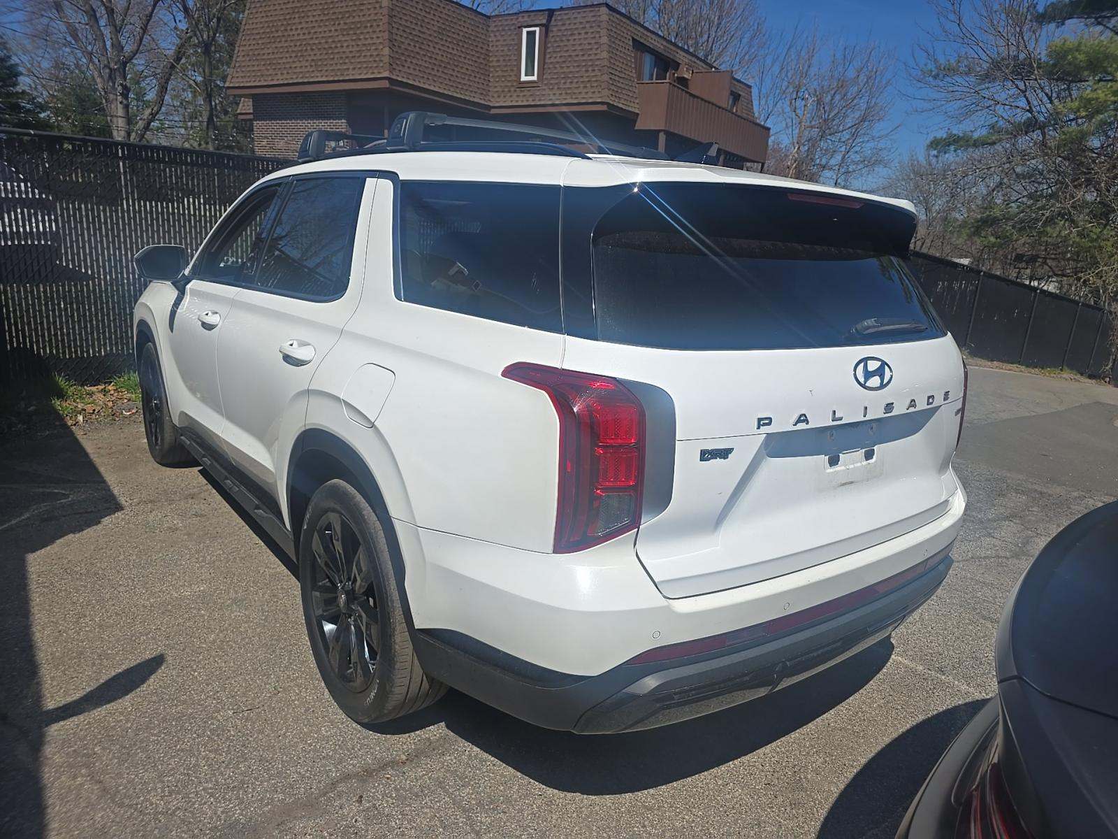 HYUNDAI PALISADE - 2