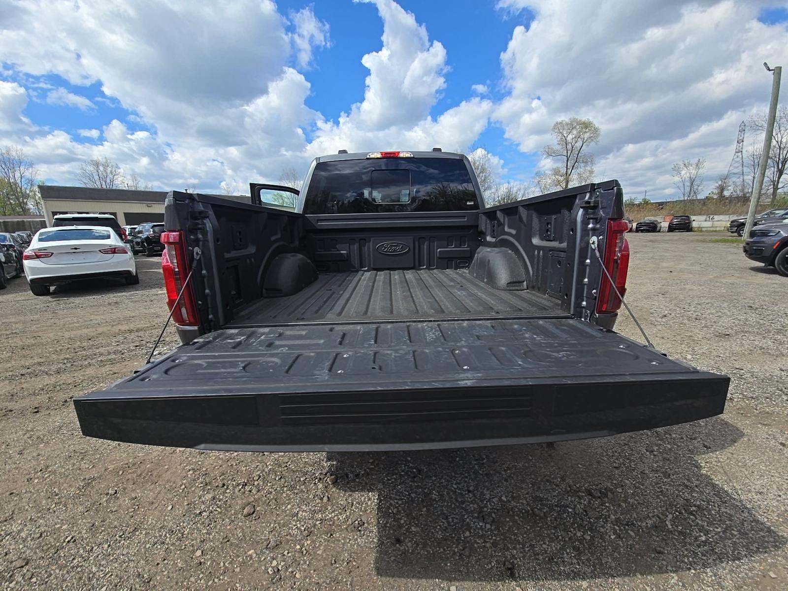 FORD F-150 - 10