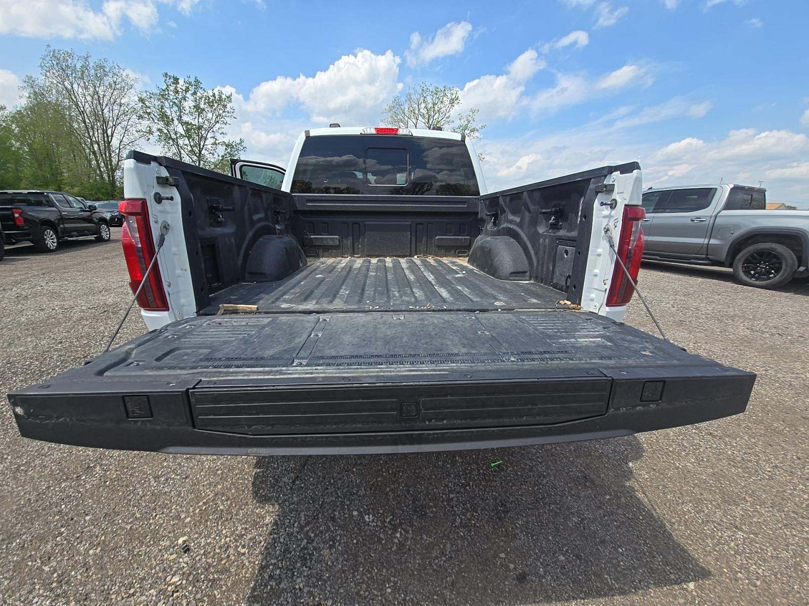 FORD F-150 - 10