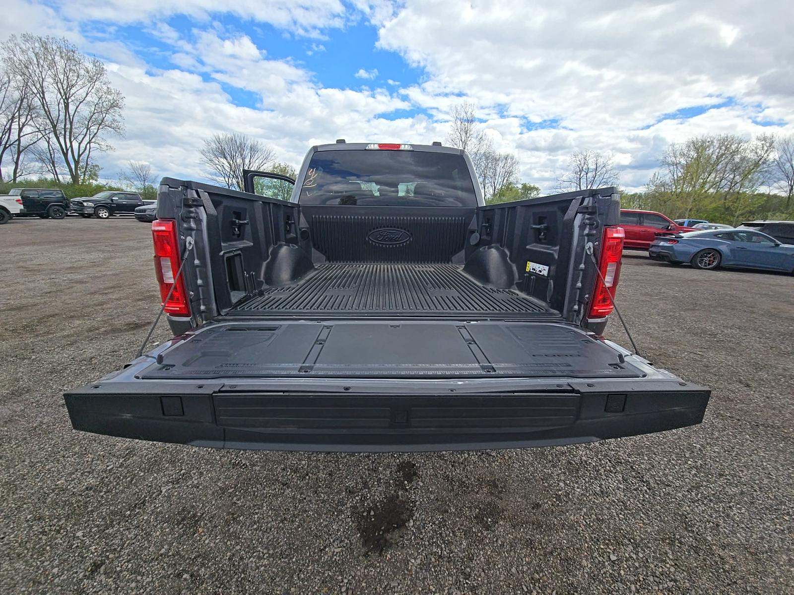 FORD F-150 - 10