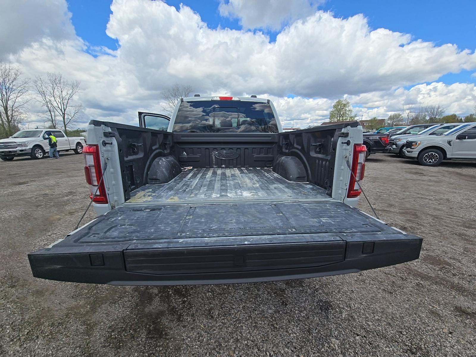 FORD F-150 - 10