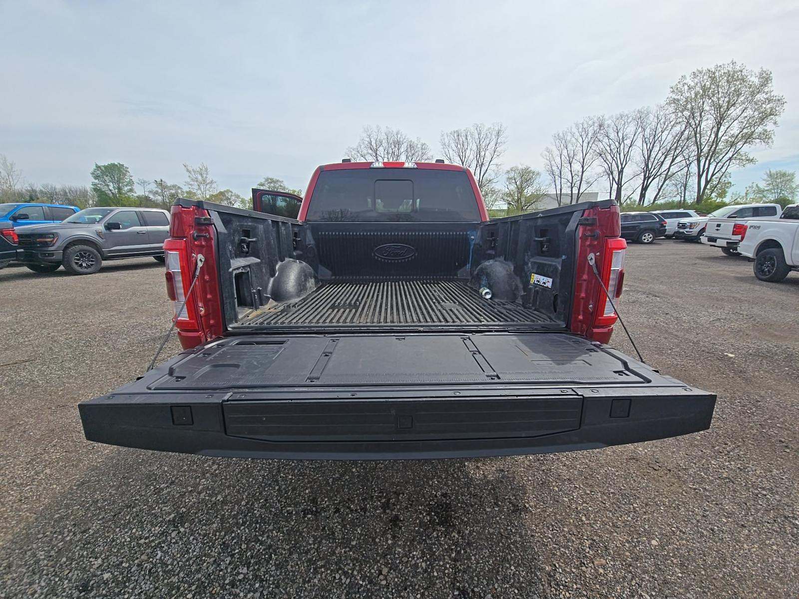 FORD F-150 - 10