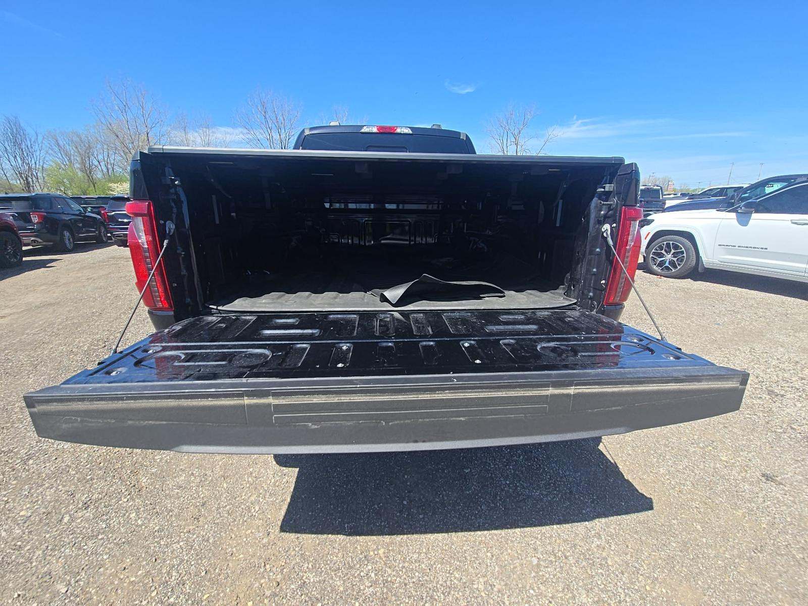 FORD F-150 - 10