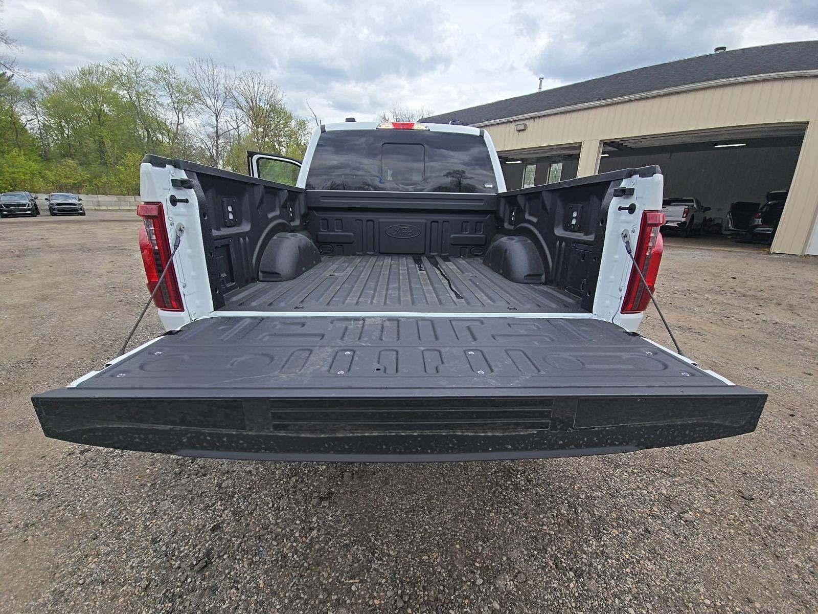 FORD F-150 - 10