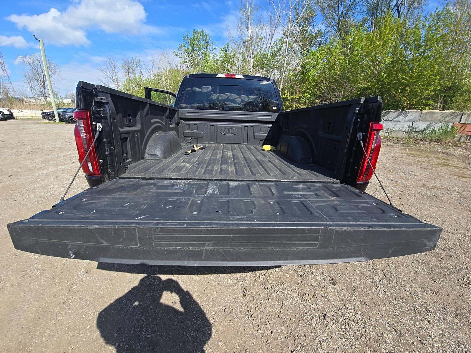 FORD F-150 - 10