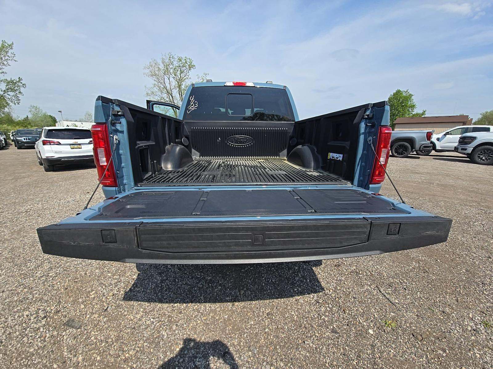 FORD F-150 - 10