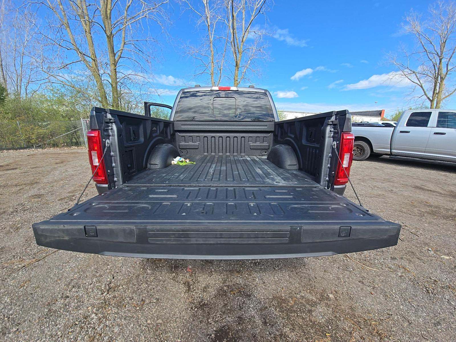 FORD F-150 - 10