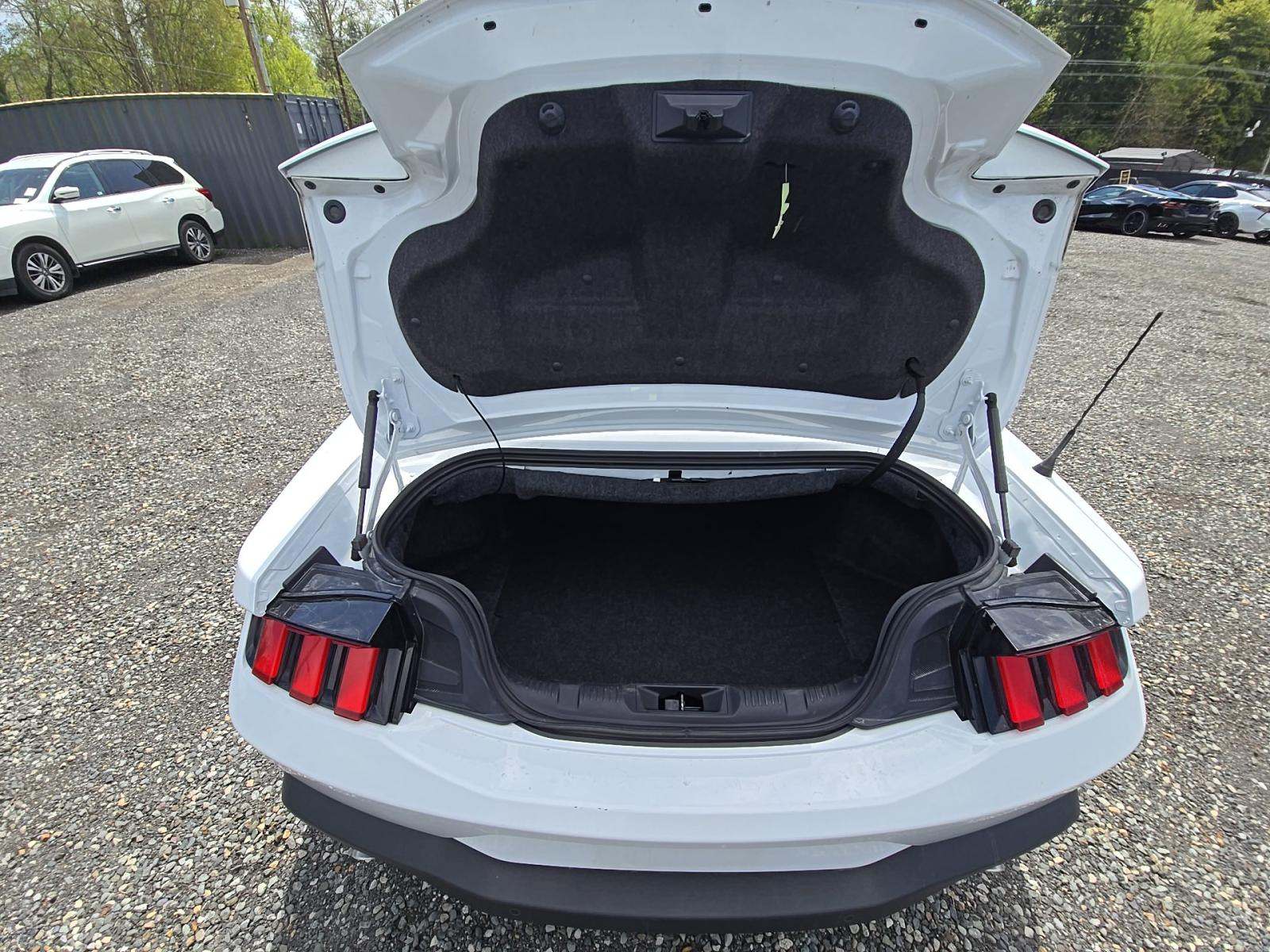 FORD MUSTANG - 10