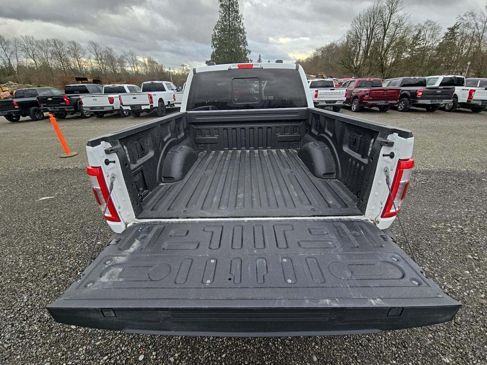 2023 Ford F-150 Lariat AWD