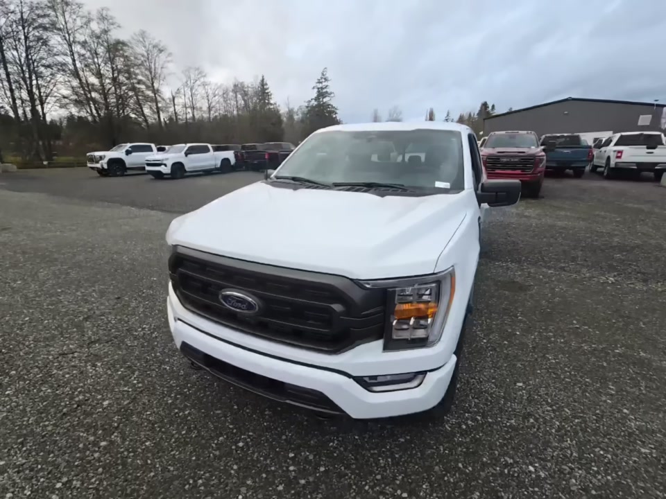 2023 Ford F-150 XLT AWD
