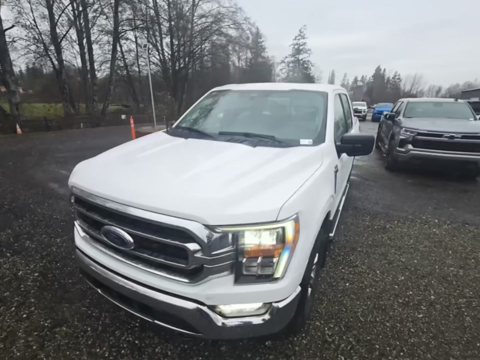 2023 Ford F-150 XLT AWD