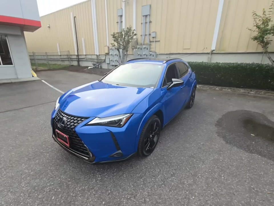 2021 Lexus UX 250h