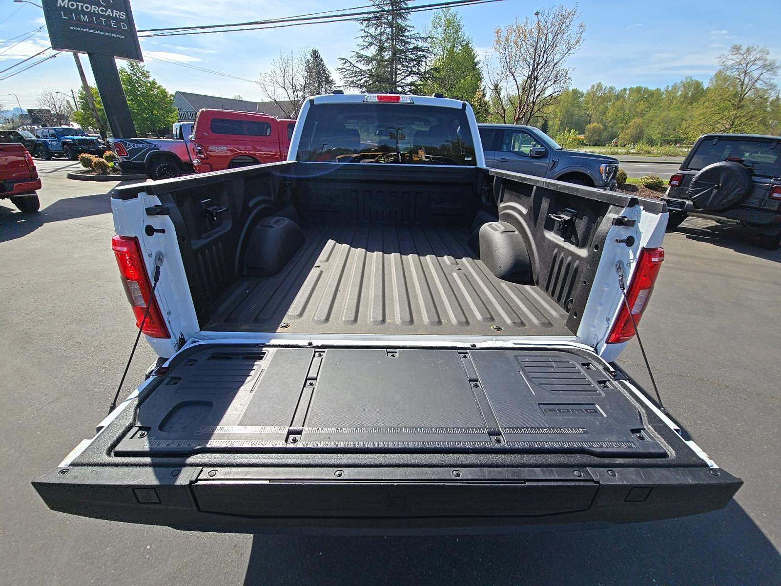 FORD F-150 - 10