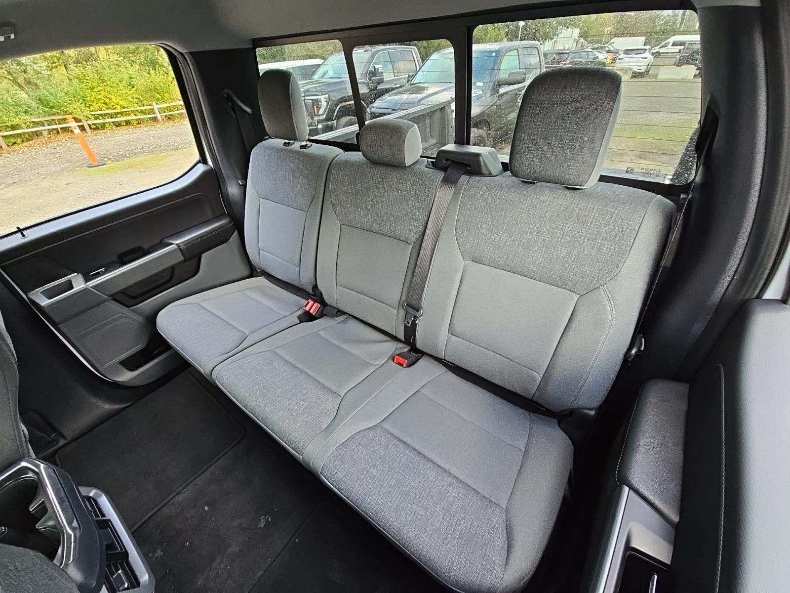 2024 Ford F-150 XLT AWD