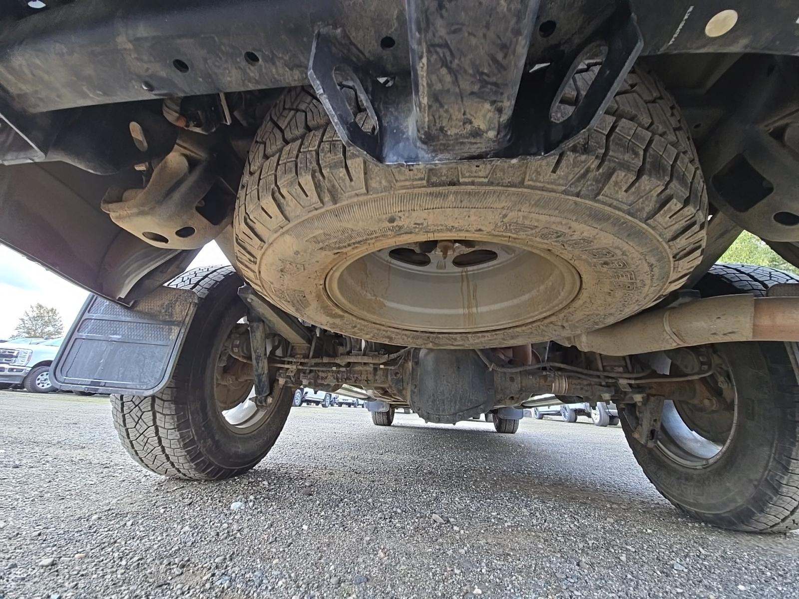 2024 Ford F-150 XLT AWD