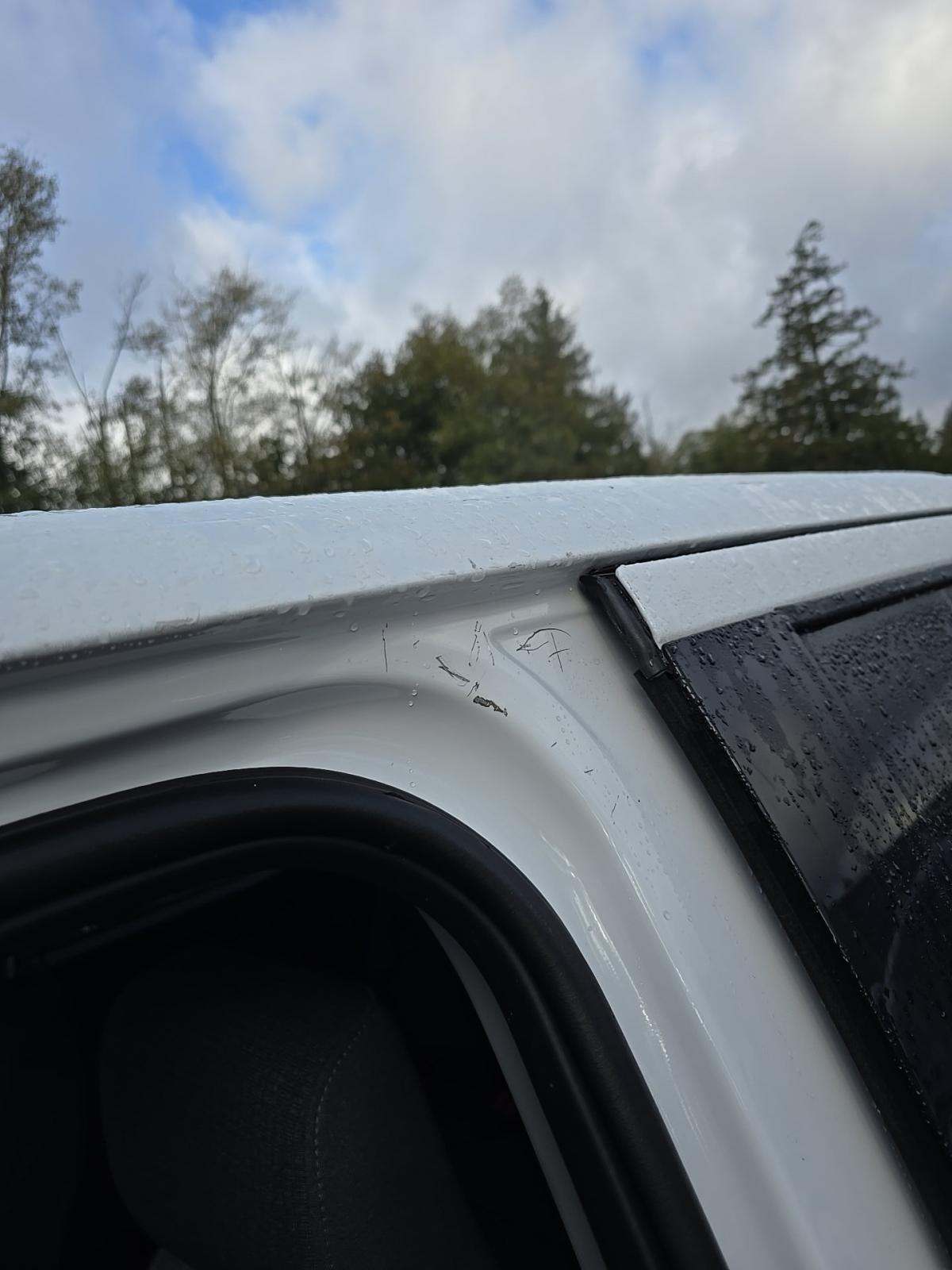 2024 Ford F-150 XLT AWD