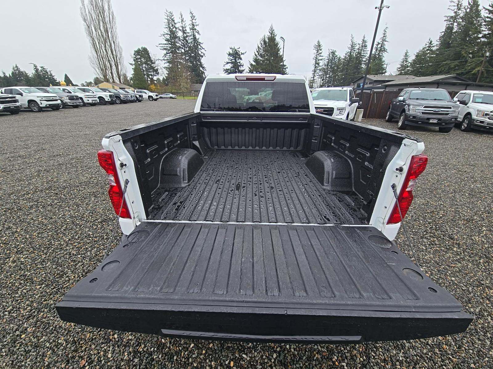 CHEVROLET CUSTOM - 10