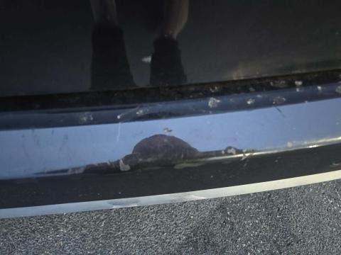 2022 Chrysler Pacifica Hybrid Touring L FWD