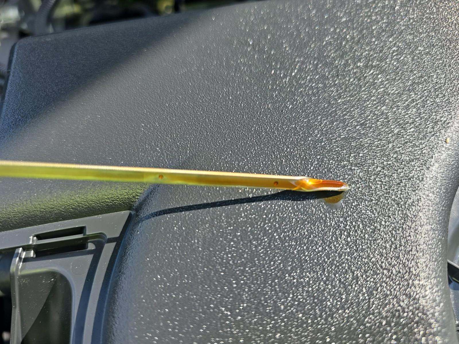 2024 Toyota RAV4 XLE FWD