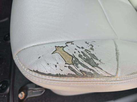 2014 Toyota Tacoma PreRunner RWD