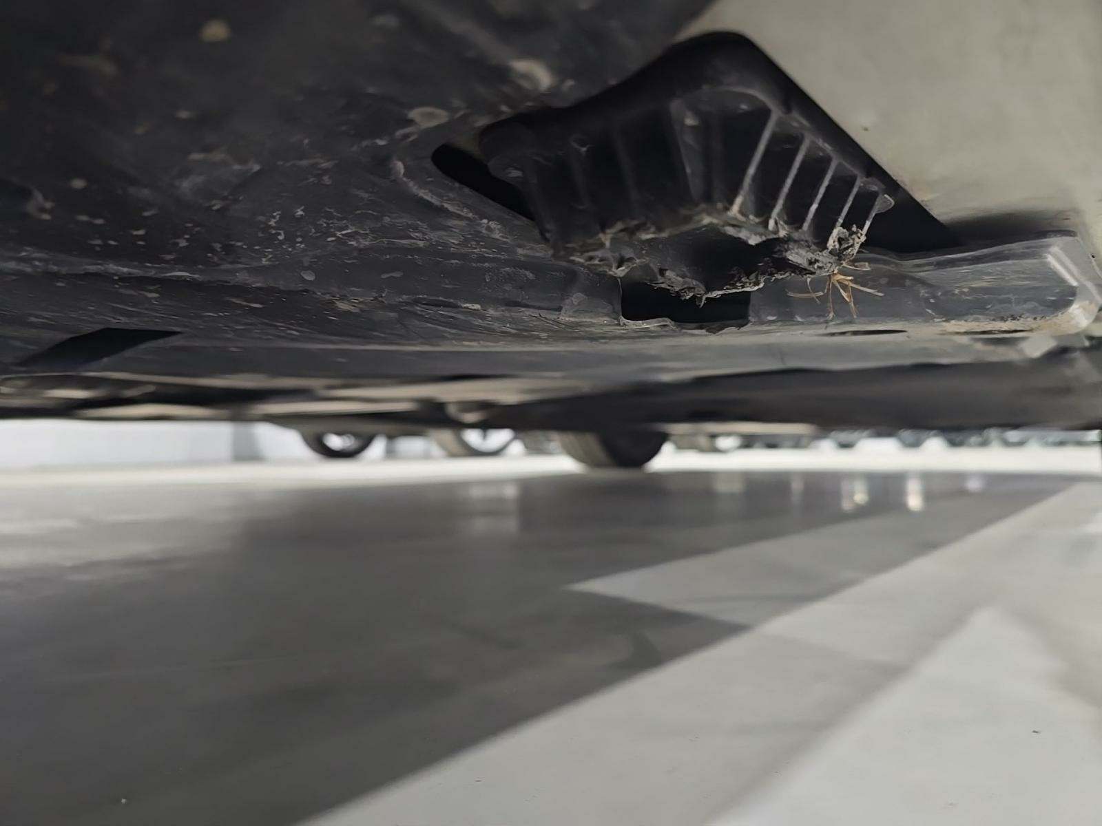 2019 BMW 8 Series M850i xDrive AWD