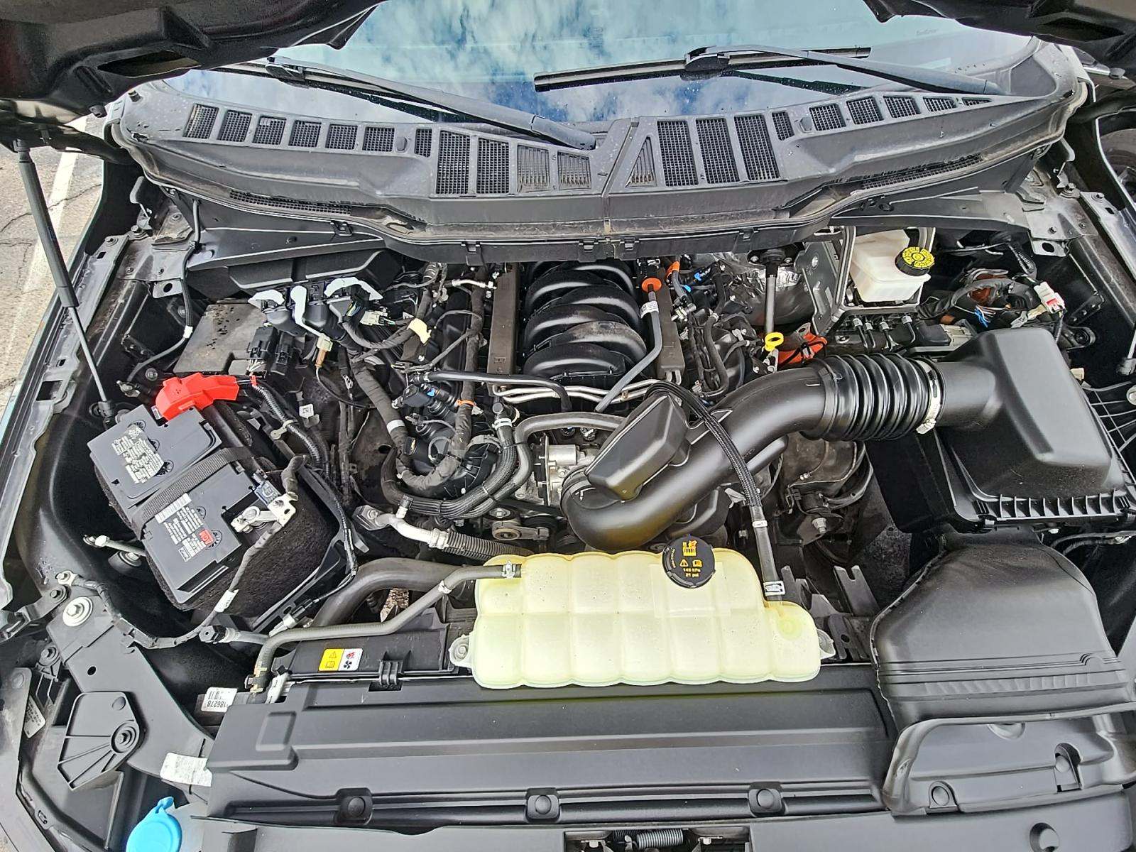 2024 Ford F-150 XLT RWD