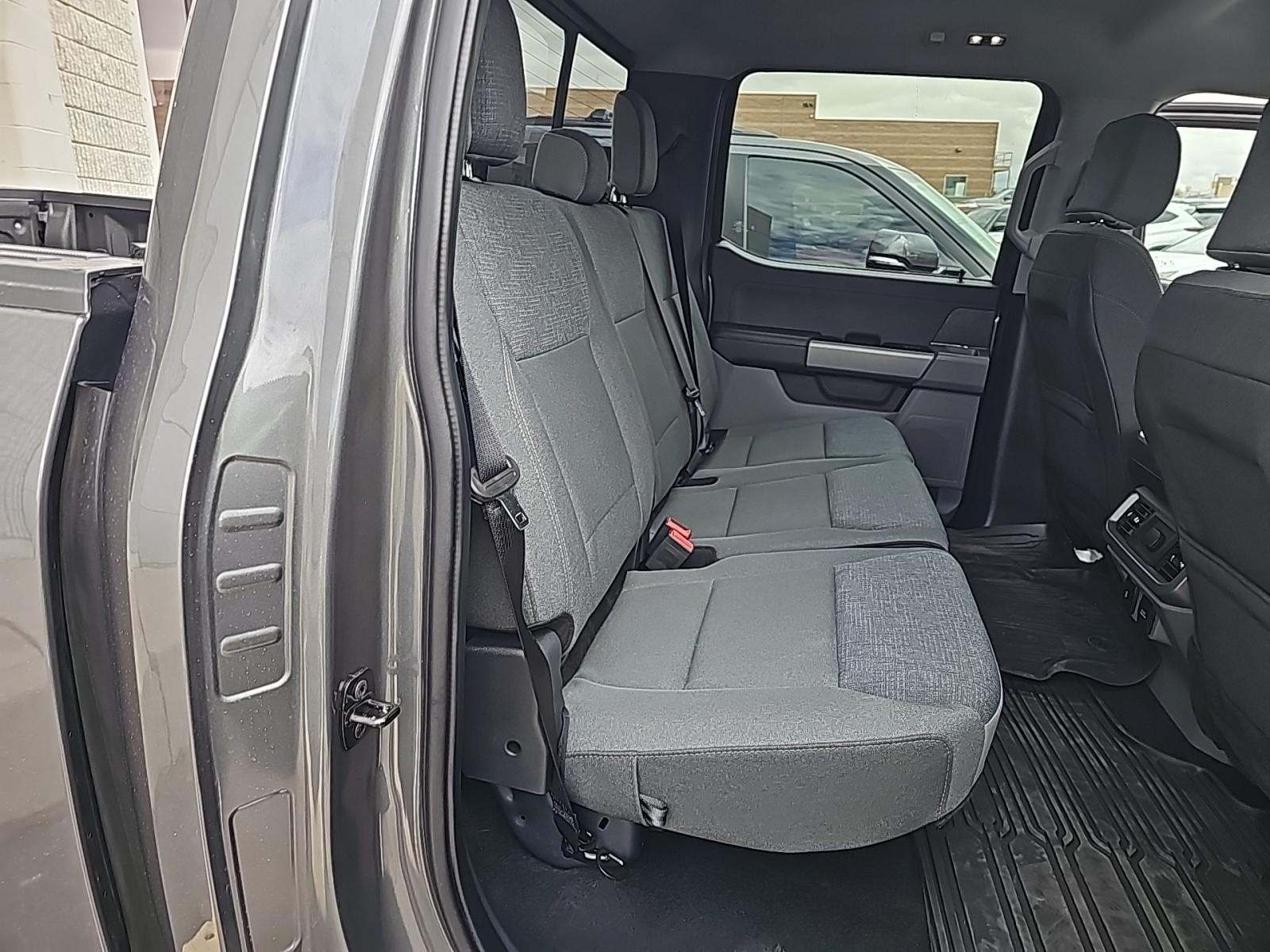 2024 Ford F-150 XLT RWD