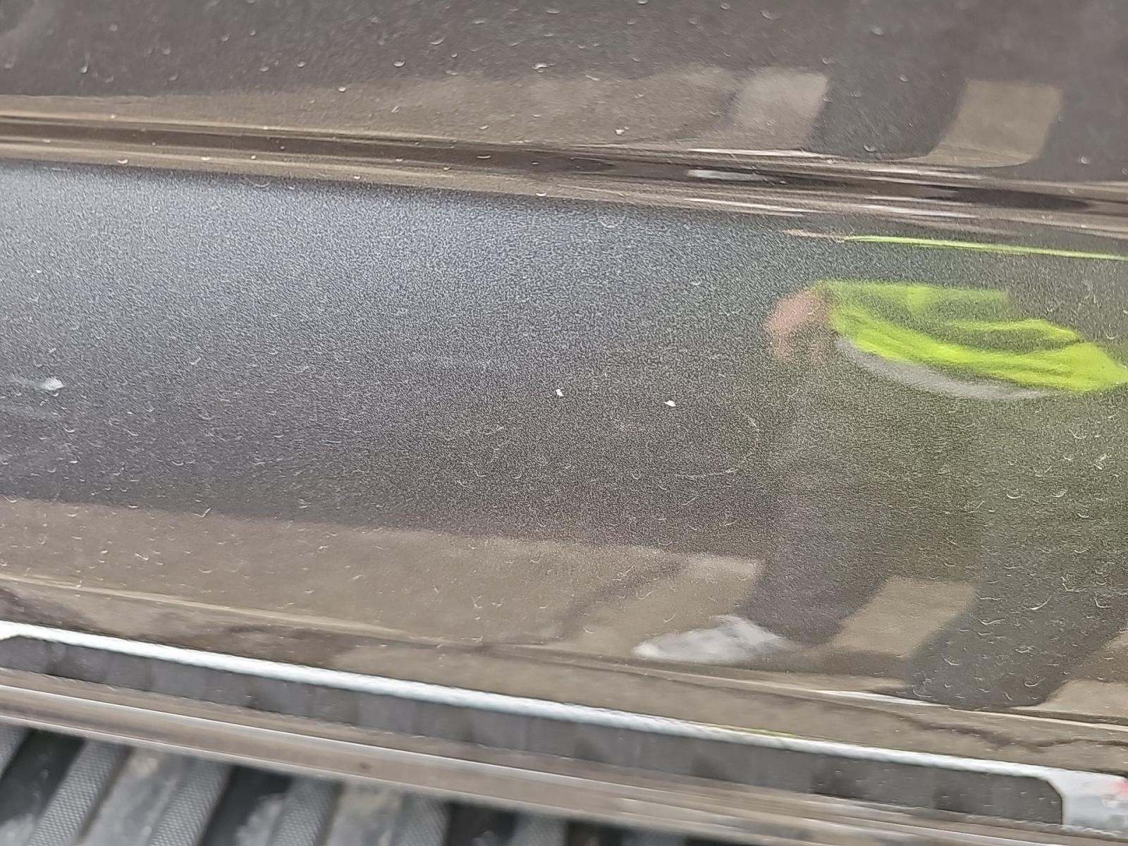 2024 Ford F-150 XLT RWD