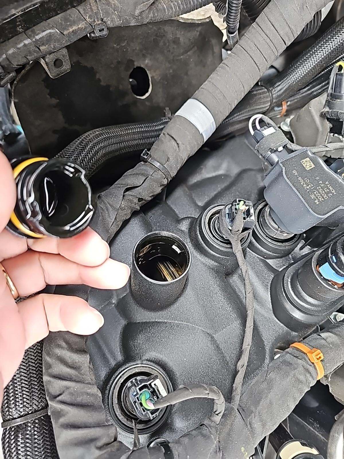 2024 Ford F-150 XLT RWD