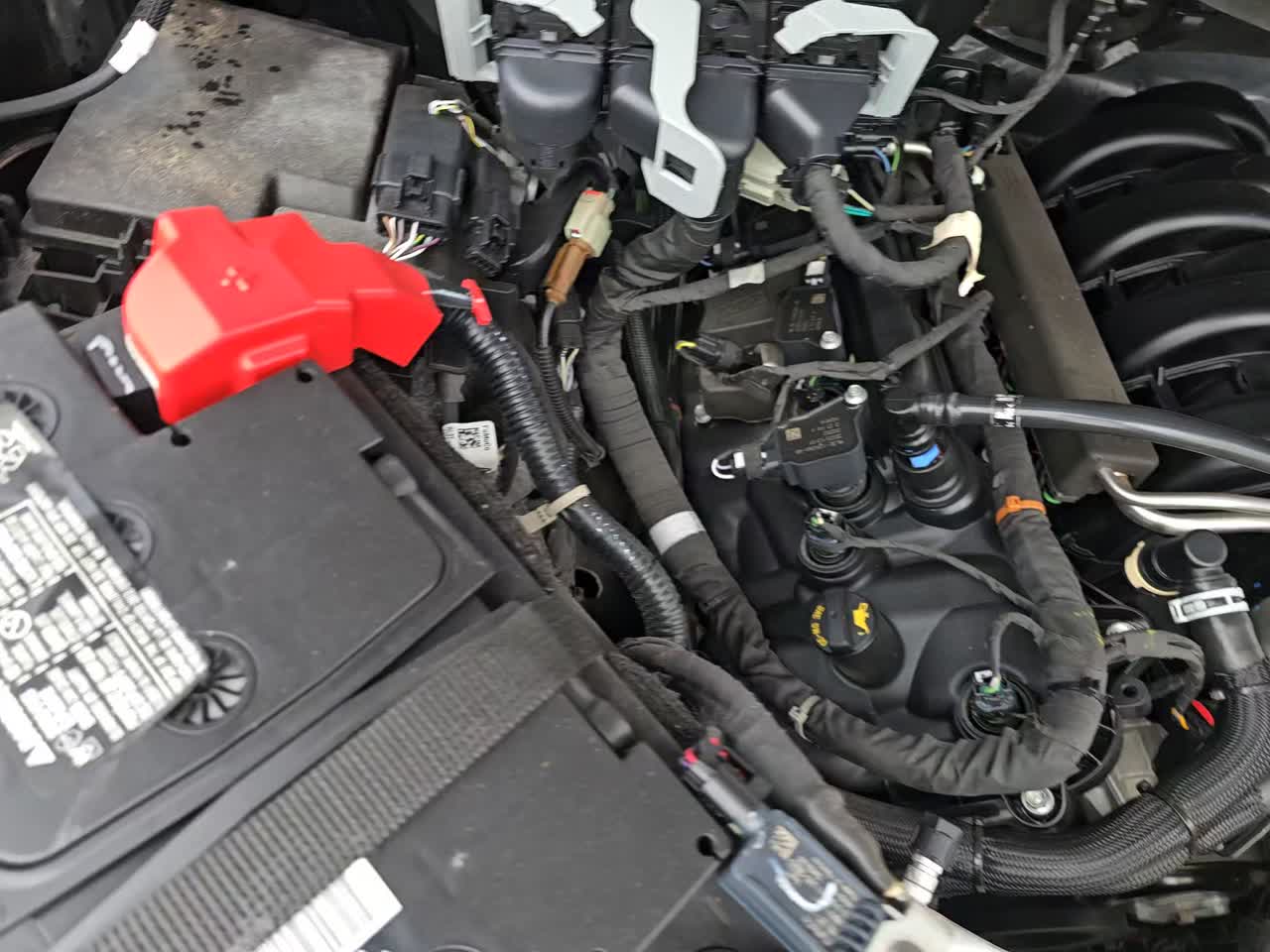 2024 Ford F-150 XLT RWD