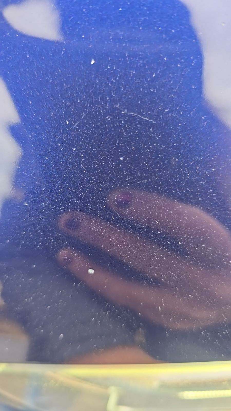 2019 Audi A4 Premium Plus AWD