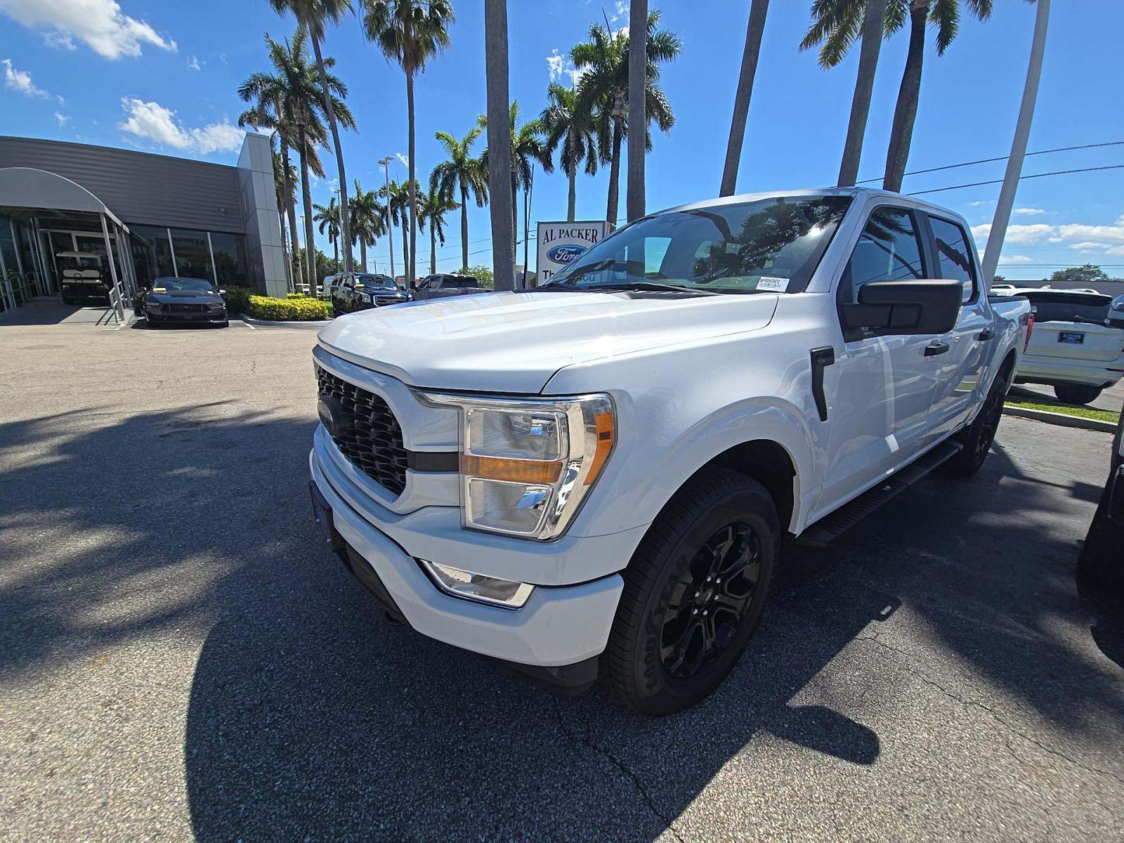 FORD F-150 - 1