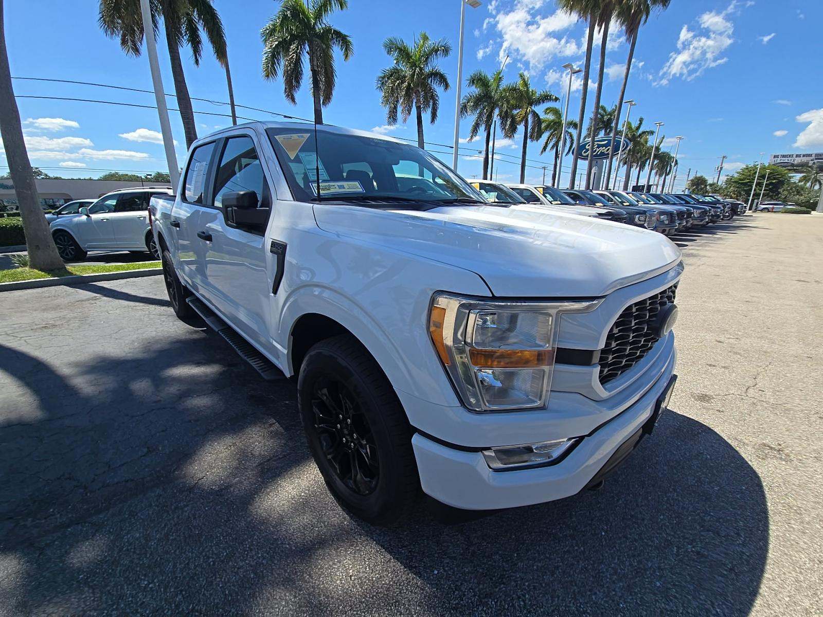 FORD F-150 - 4