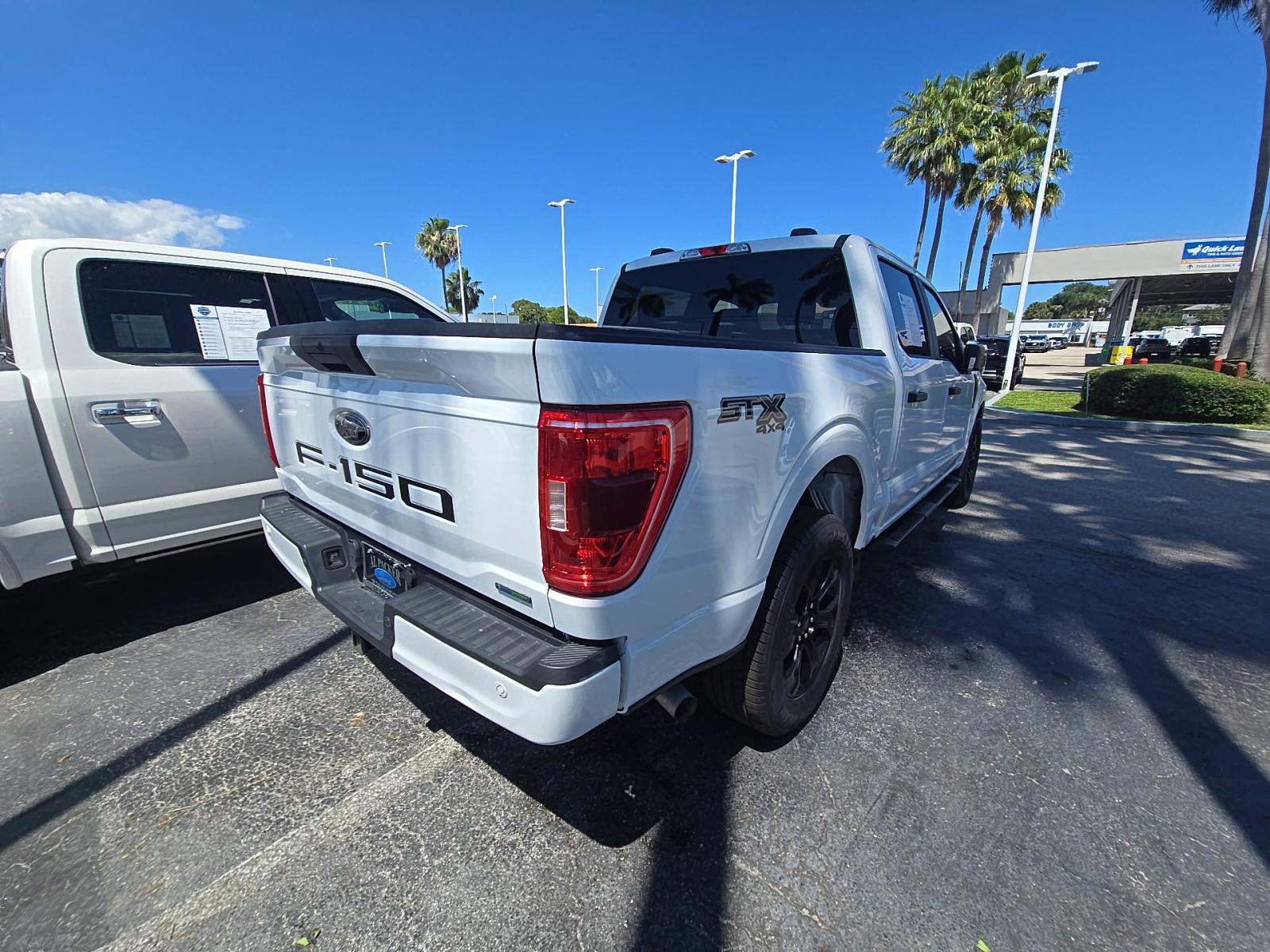 FORD F-150 - 3