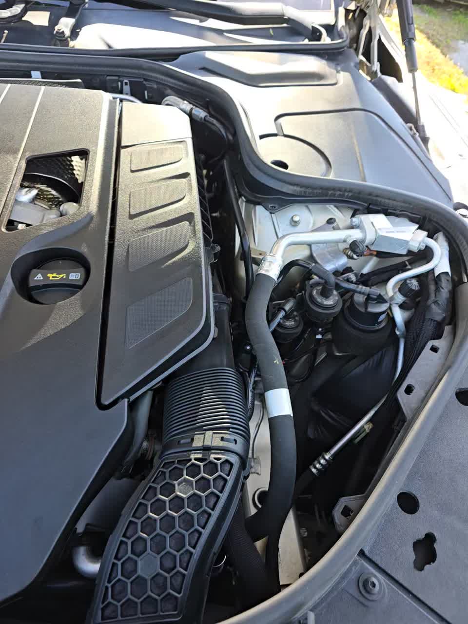 2019 Mercedes-Benz S-Class S 560 RWD