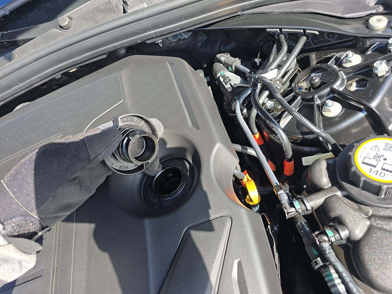 2025 Jaguar F-PACE P250 R-Dynamic S AWD