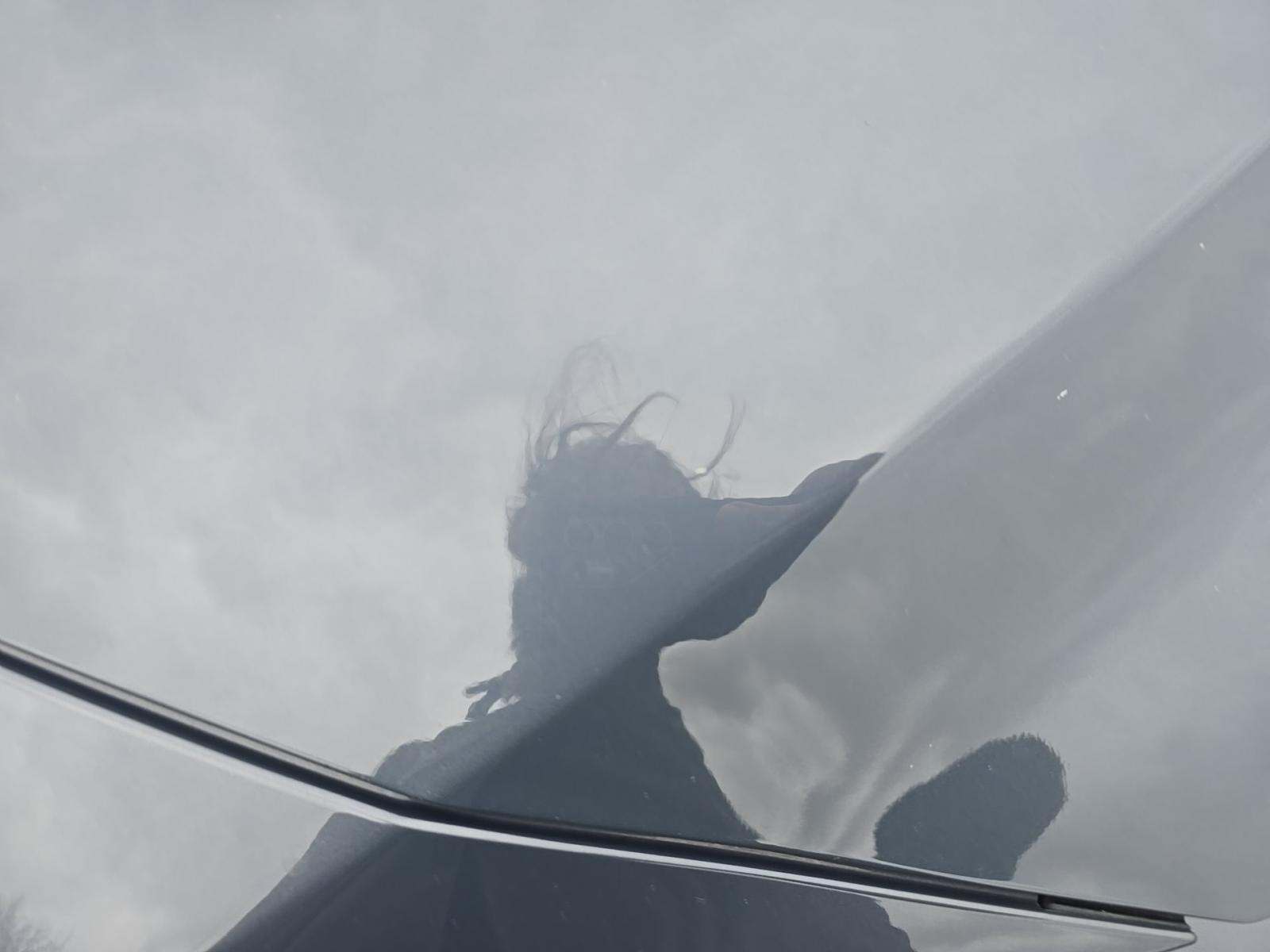 2023 MAZDA CX-5 2.5 S Carbon Edition AWD