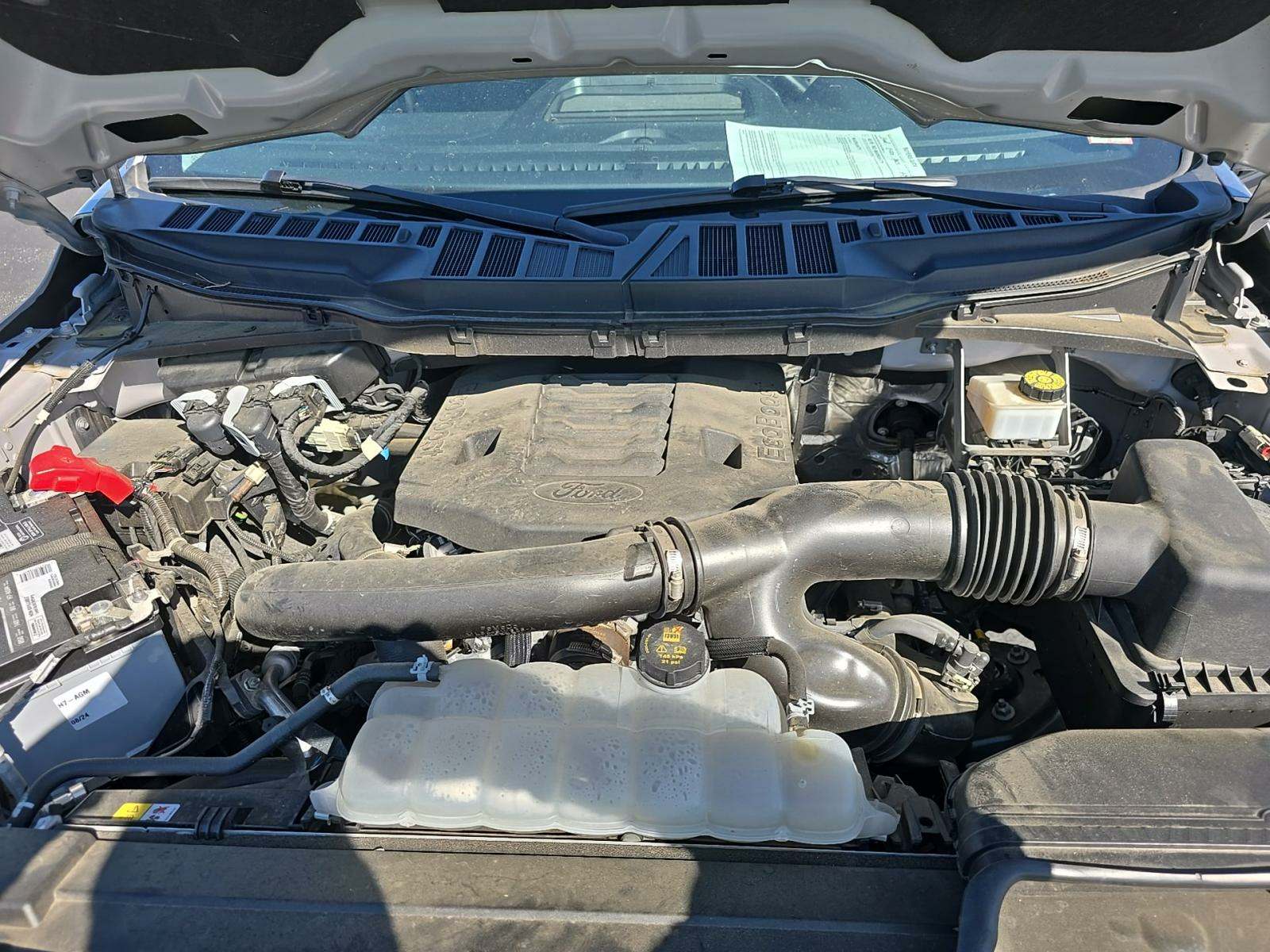 2023 Ford F-150 XLT RWD