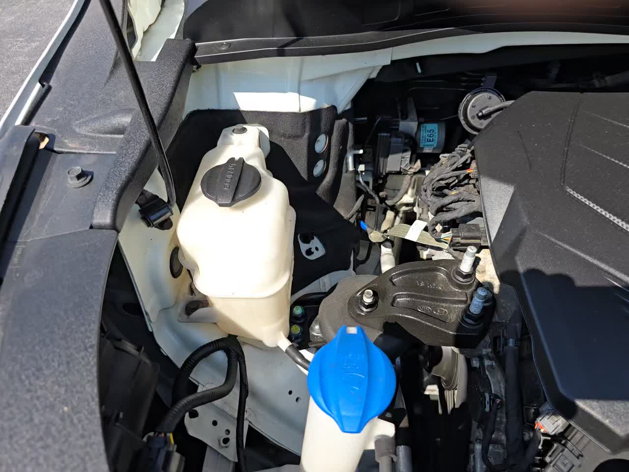 2019 Kia Sedona EX FWD