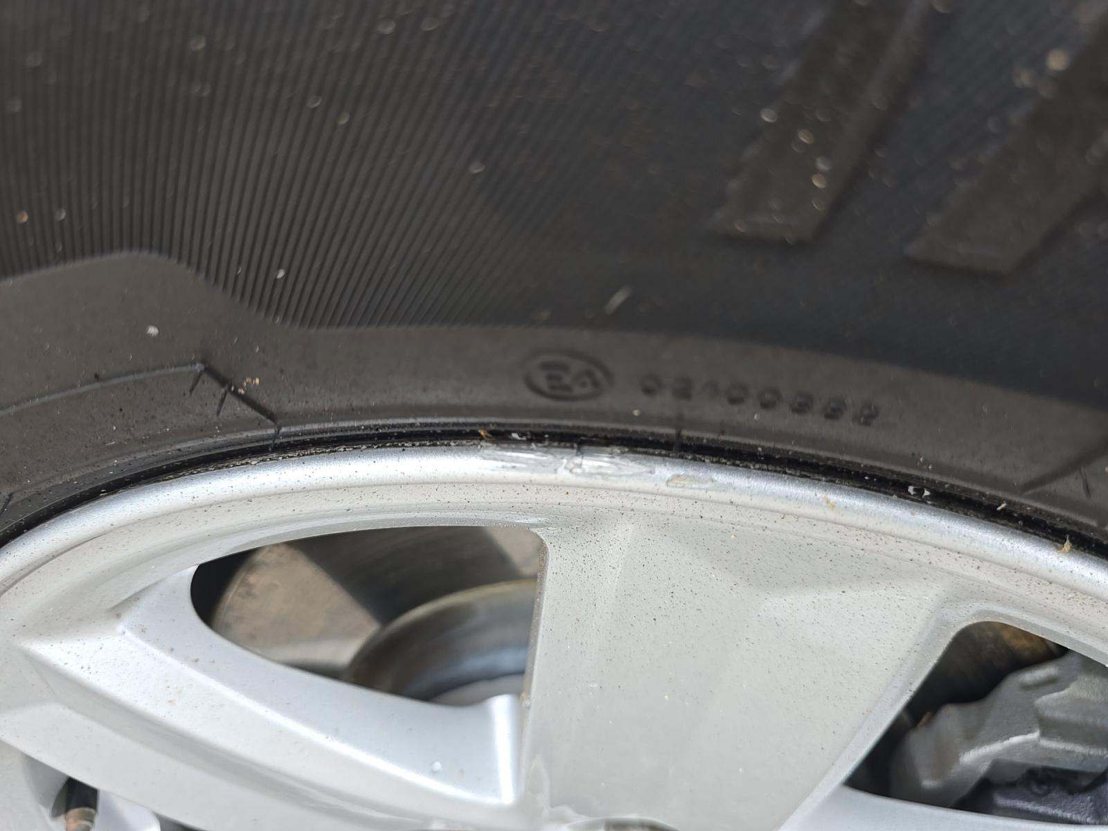 2023 Ford F-150 XLT RWD