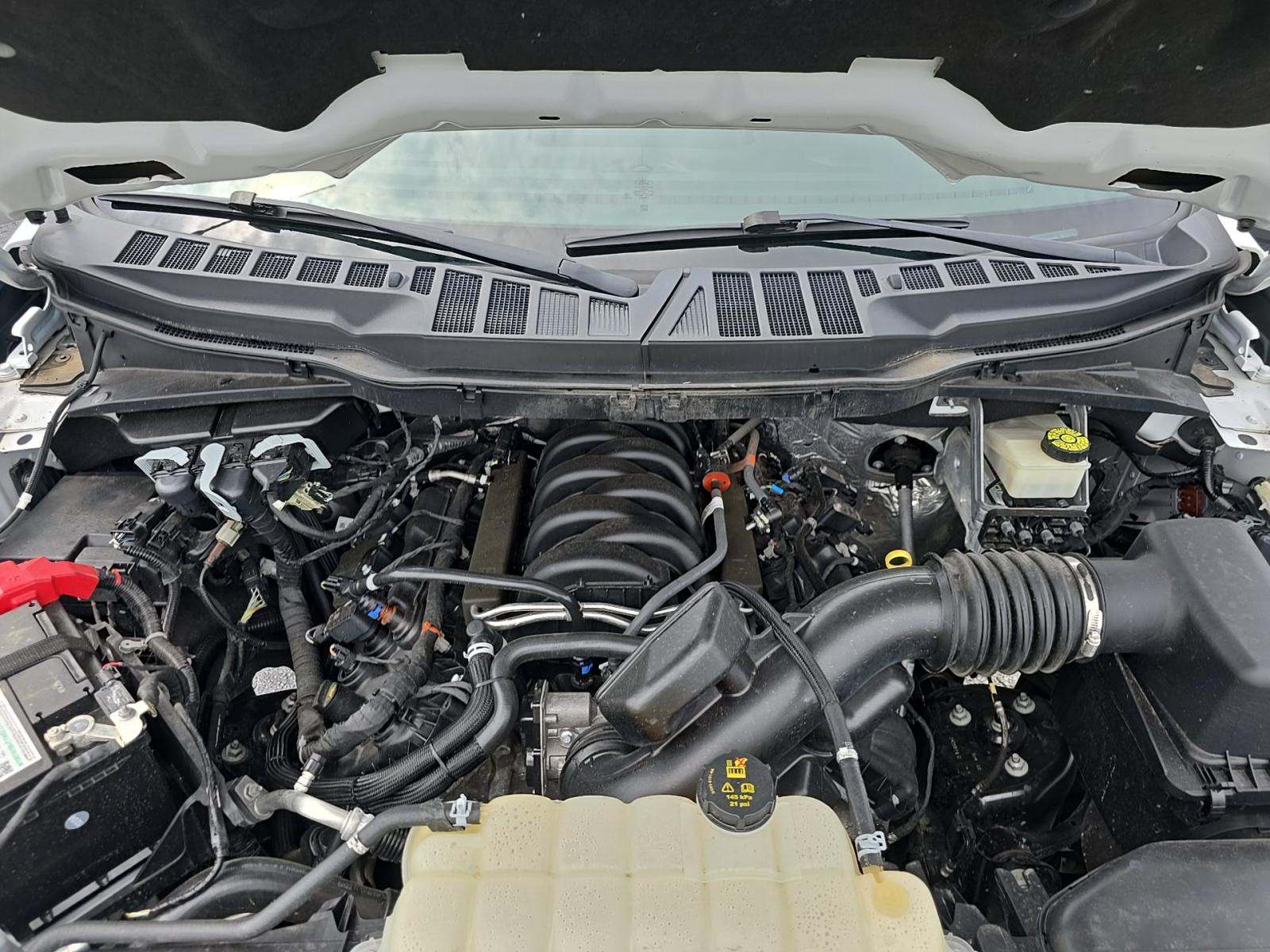 2023 Ford F-150 XLT RWD