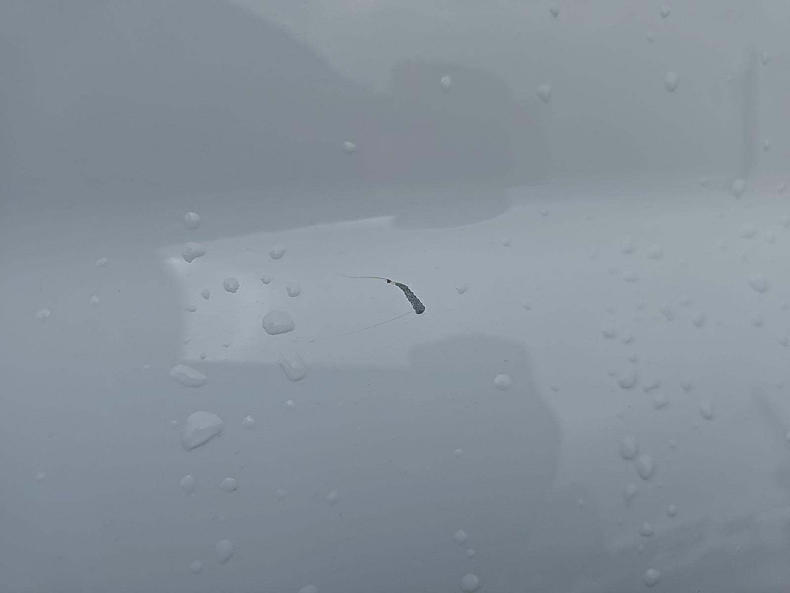 2022 Chevrolet Silverado 2500HD Work Truck AWD