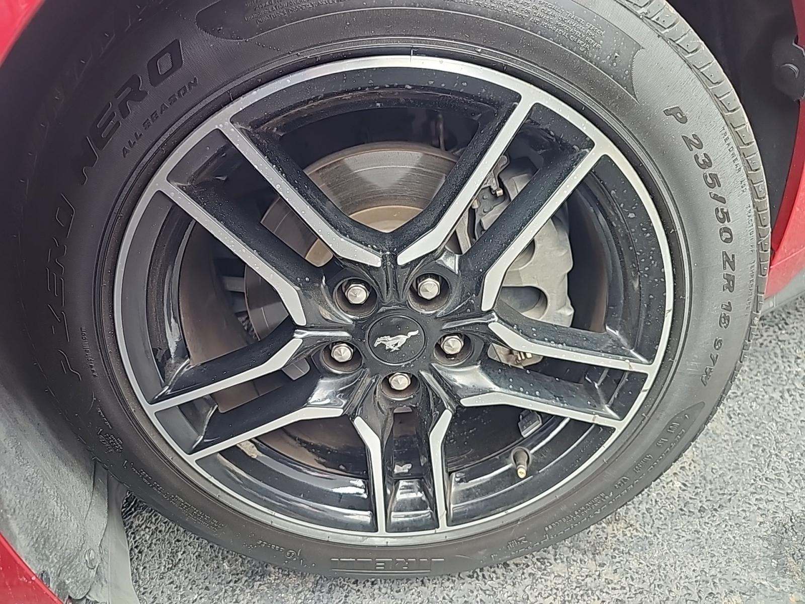 2024 Ford Mustang EcoBoost Premium RWD