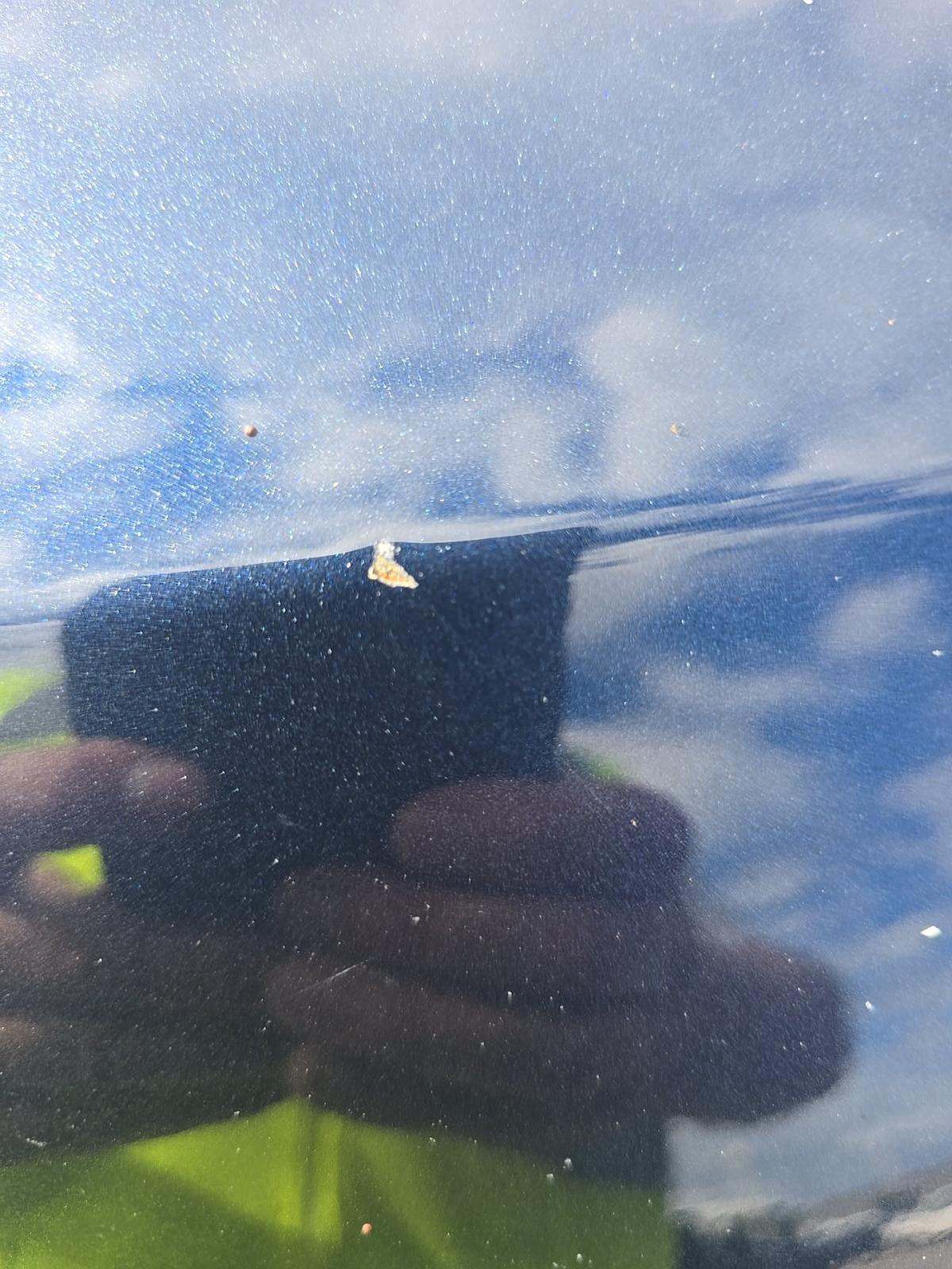 2024 Honda CR-V Hybrid Sport AWD