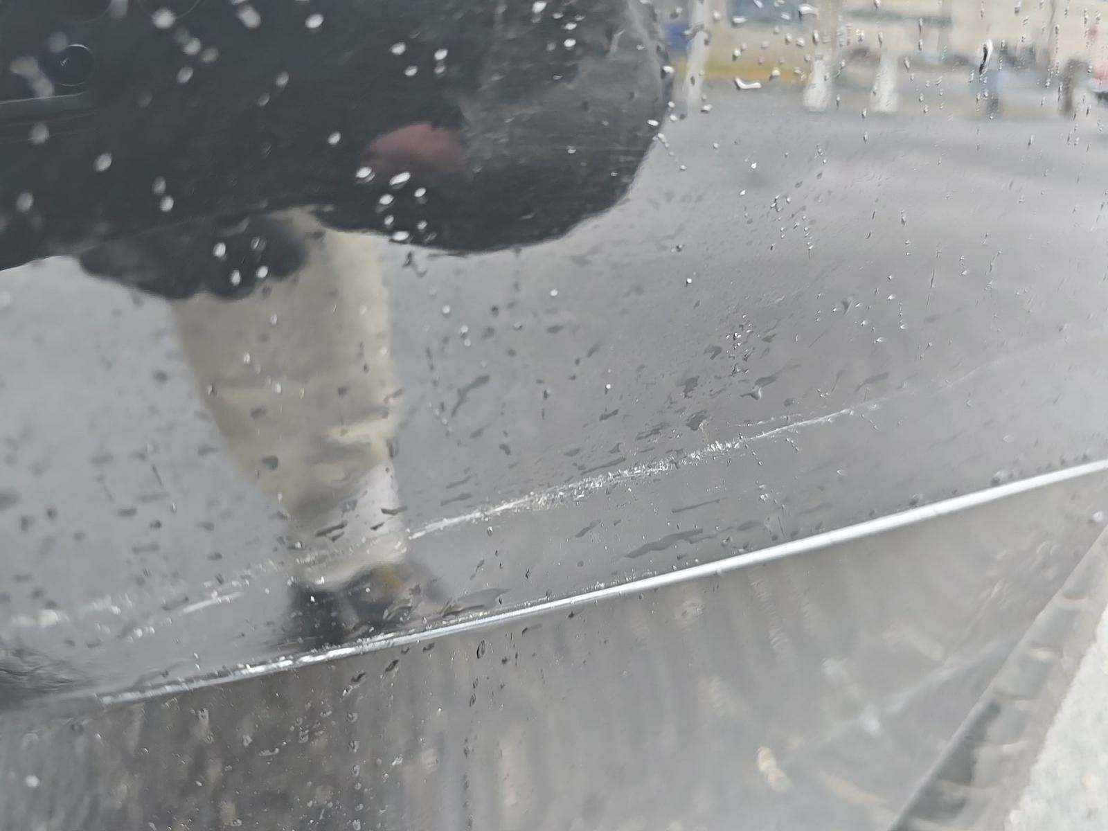 2019 Audi RS 5 Base AWD